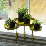 Esschert Design Esschert Design Plant Blad mit Klemme um L Goldfarbe