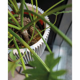Capi Planter Groove 35x34 cm slonovinová barva