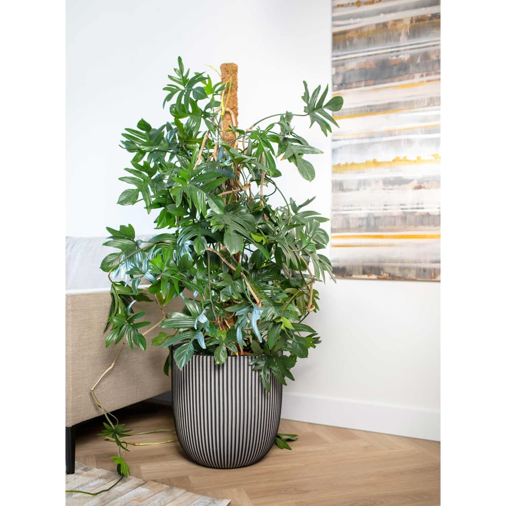 Capi Capi Plantter Groove 35x34 cm Anthhacit -Colored