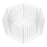 Vidaxl Gabion Planter Insentement Hexagonal 100x90x50 cm