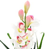 Pianta artificiale Vidaxl con orchideo cymbidio di cymbidio