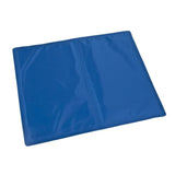 @passend Dog killt mat engem 2x90 cm blo