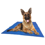 @passend Dog killt mat engem 2x90 cm blo