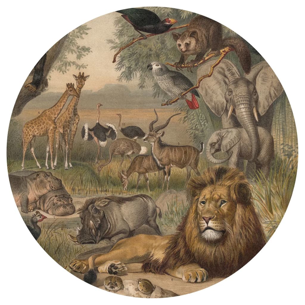 Wallart Wallow circle Animals of Africa 142.5 cm