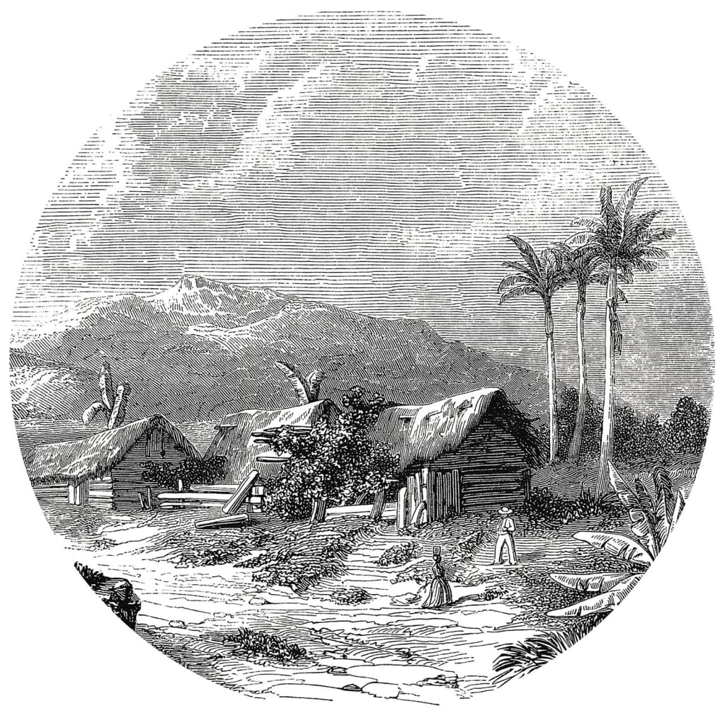 Wallart Wallow Circle Landscape of Guadeloupe 190 cm