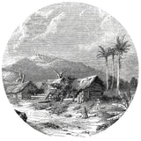Wallart Wallow Circle Landscape of Guadeloupe 190 cm