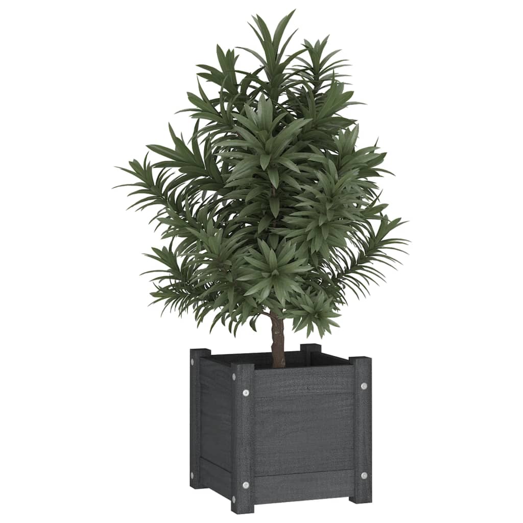Boîte de planification Vidaxl 31x31x31 cm Gray de pin solide