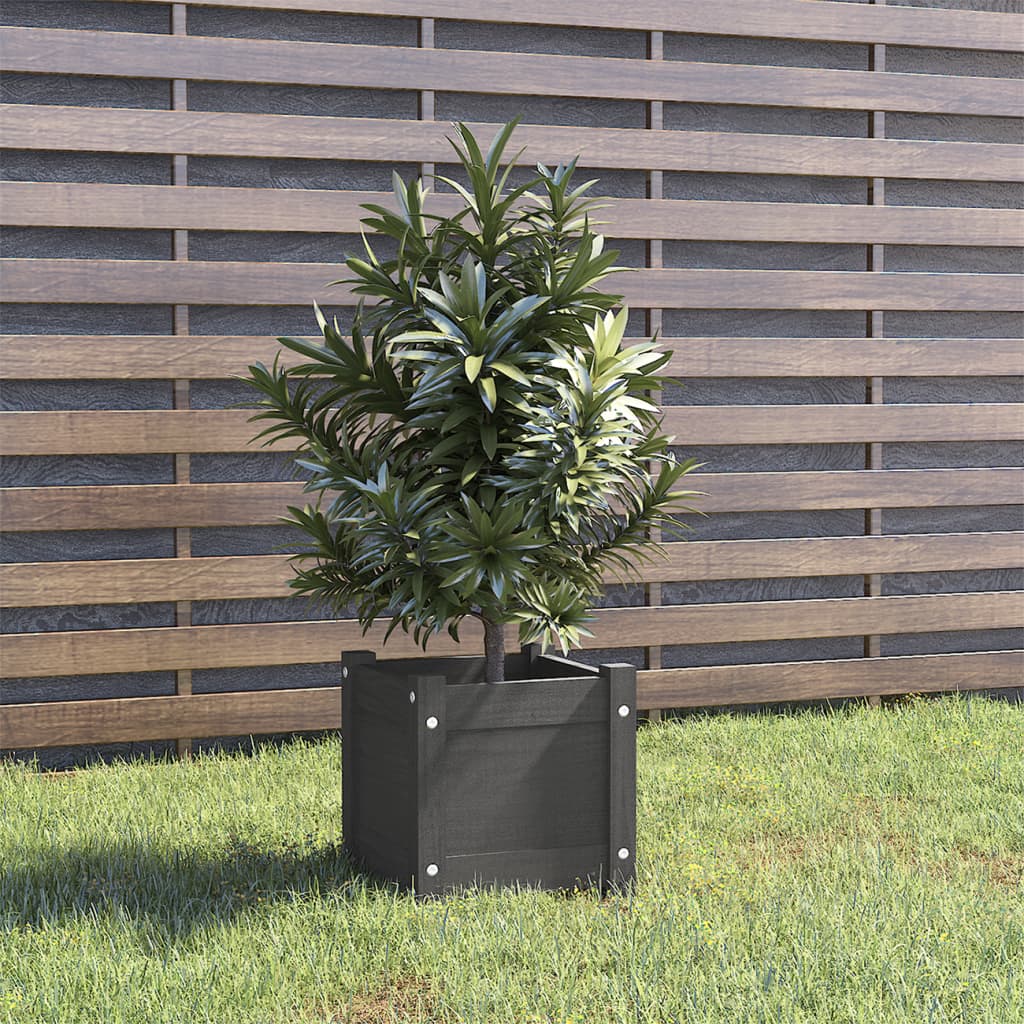 Boîte de planification Vidaxl 31x31x31 cm Gray de pin solide