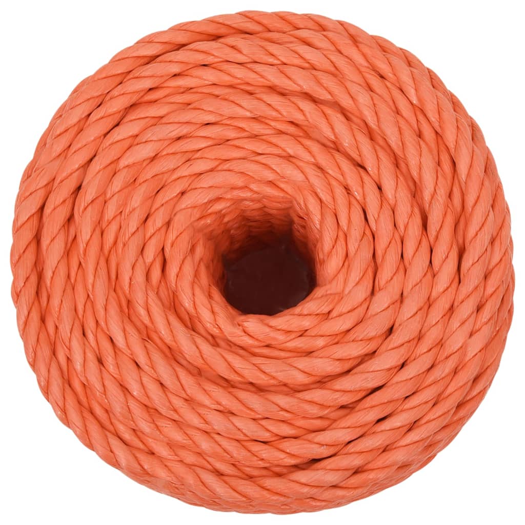 Vidaxl werkouw 10 m mm 25 m Polroprope oranje