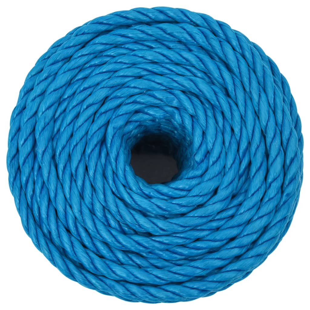 Vidaxl Werkouw 12 mm 25 m Polypropene blue