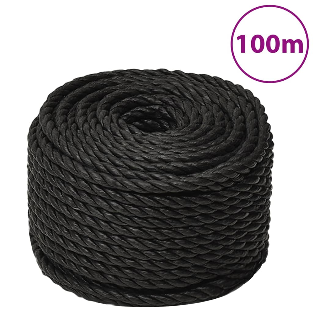 Vidaxl werkouw 10 mm 100 m Polroprope schwaarz