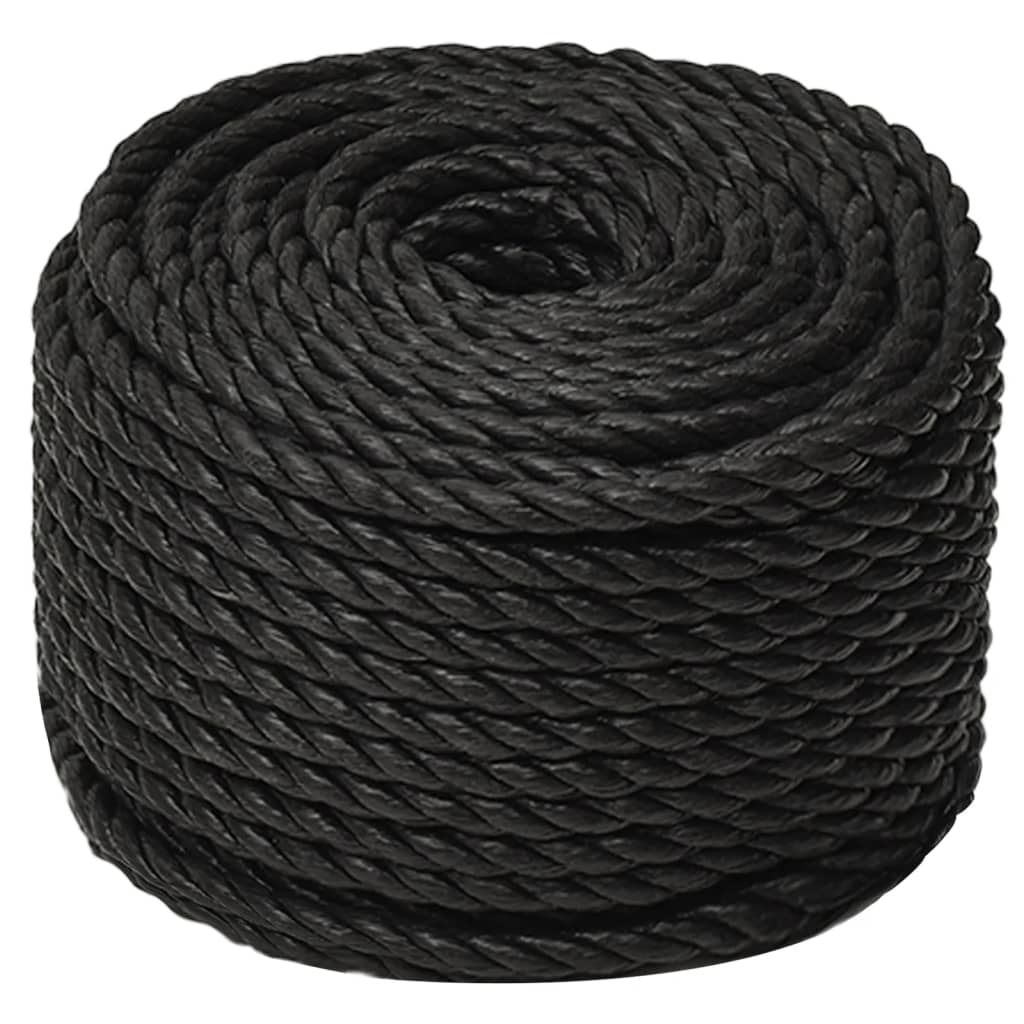 Vidaxl werkouw 10 mm 100 m Polroprope schwaarz