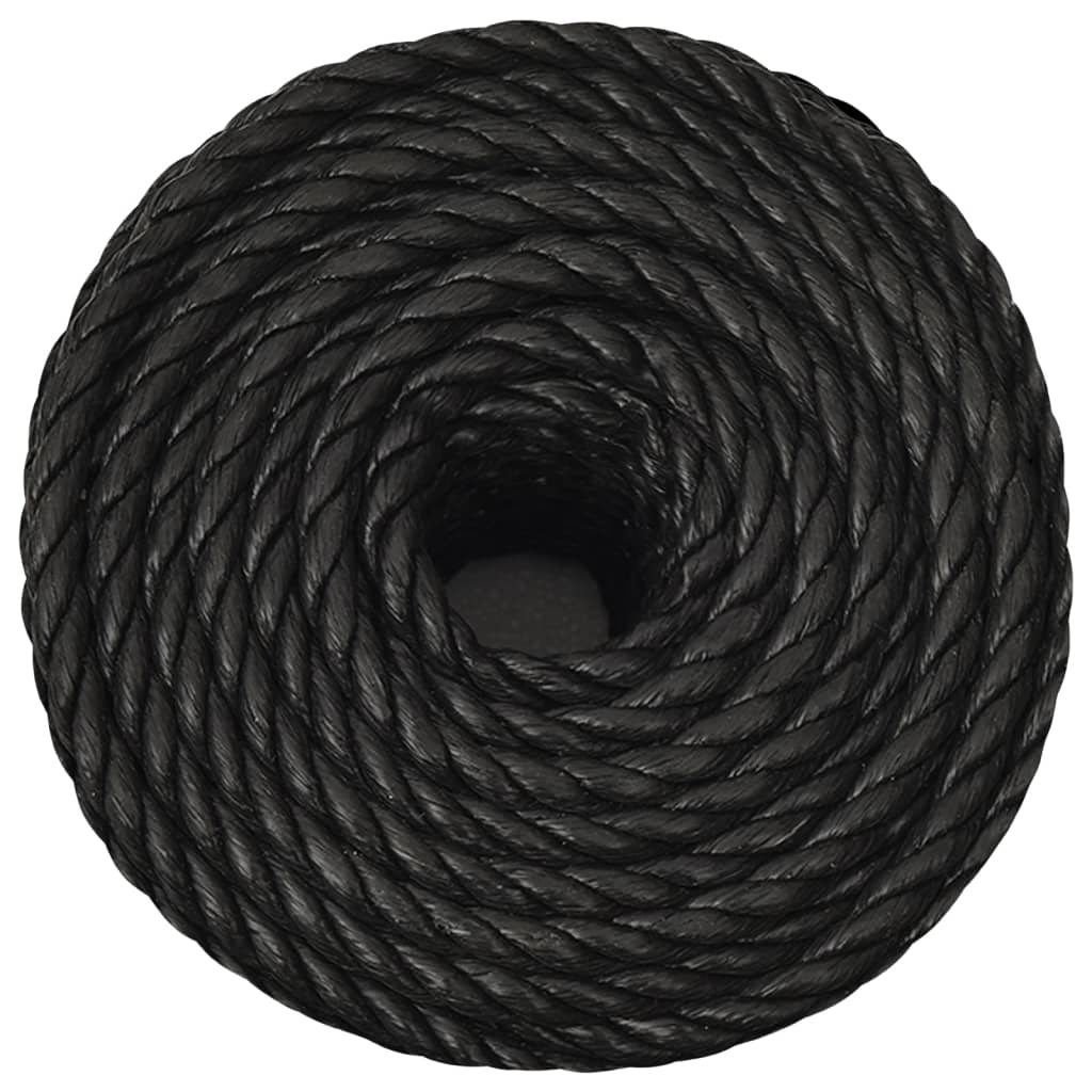 Vidaxl werkouw 10 mm 100 m Polroprope schwaarz