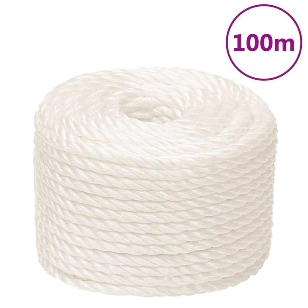 Vidaxl werkouw 24 mm 100 m polypropöen wäiss