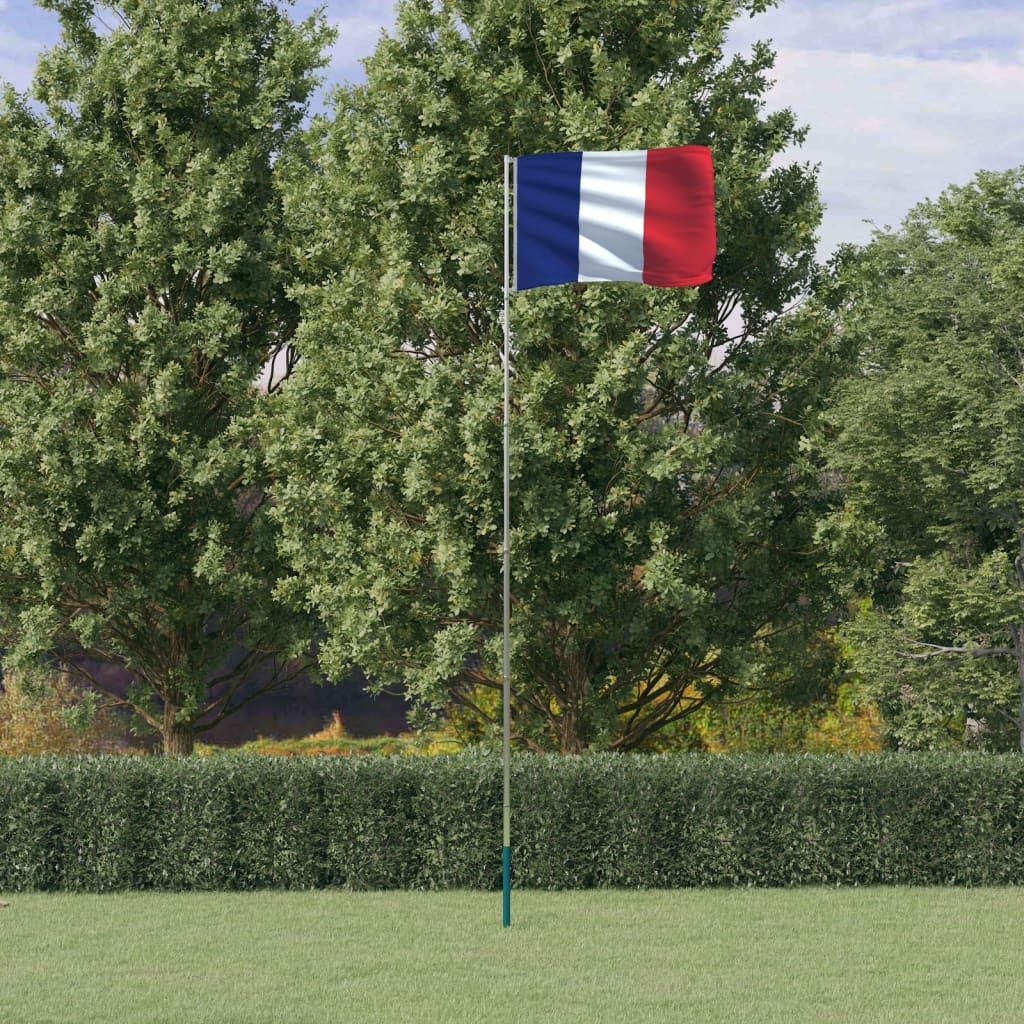 Drapeau Vidaxl avec drapeau France 5,55 m en aluminium