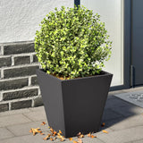 Vidaxl Planters 2 St 30x30x30 cm jeklena črna
