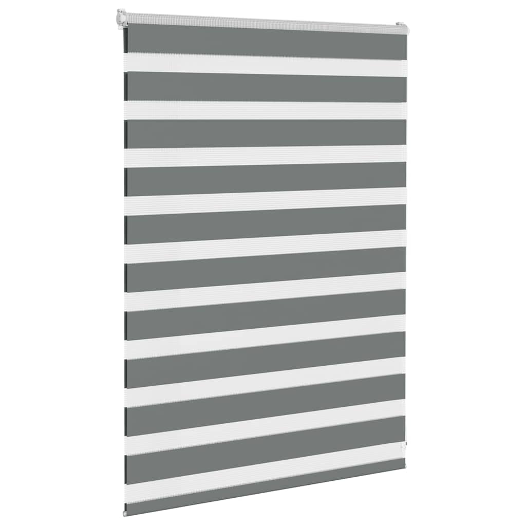 Vidaxl zebra roller slepý 100x100 cm Šířka prachu 95,9 cm tmavě šedá
