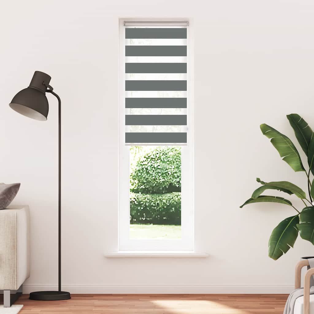 Vidaxl zebra válcový slepý 70x200 cm Šířka prachu 65,9 cm tmavě šedá