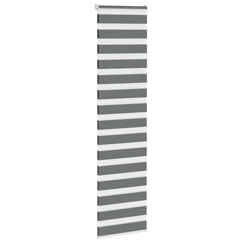 Vidaxl zebra válcový slepý 70x200 cm Šířka prachu 65,9 cm tmavě šedá