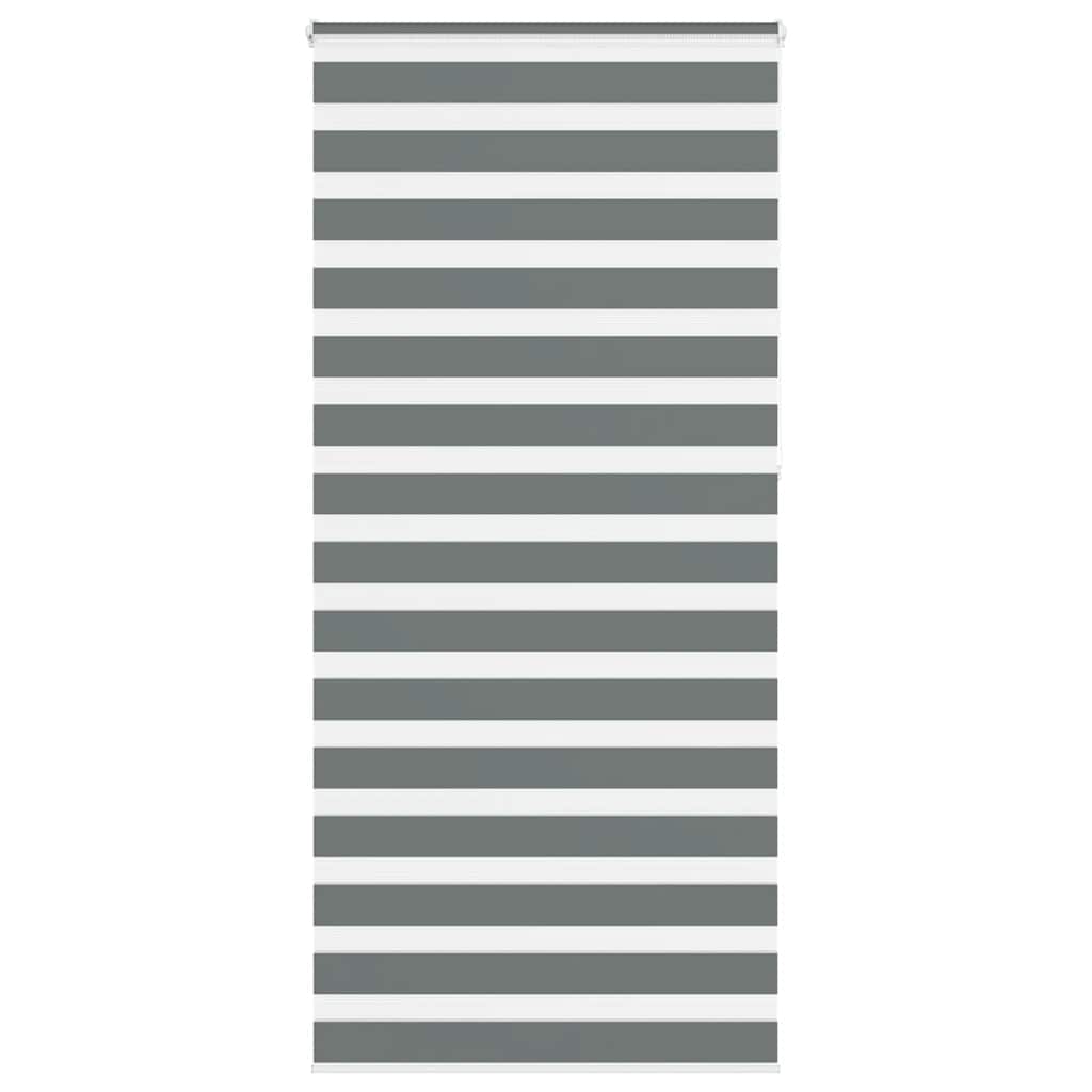 Vidaxl zebra roller slepý 100x230 cm šířka prachu 95,9 cm tmavě šedá