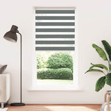 Vidaxl zebra roller slepý 100x230 cm šířka prachu 95,9 cm tmavě šedá