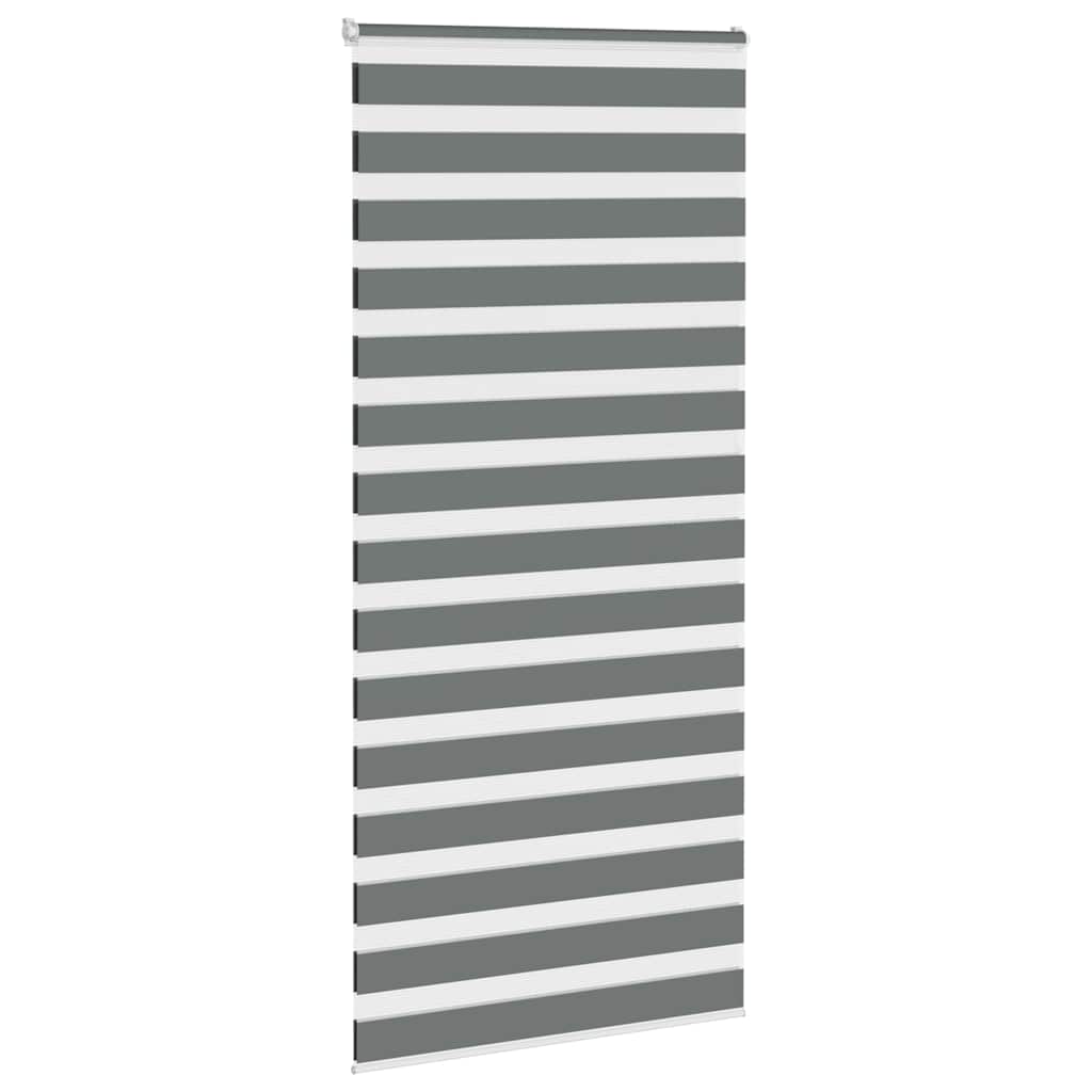 Vidaxl zebra roller slepý 100x230 cm šířka prachu 95,9 cm tmavě šedá