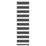 Vidaxl Zebra Roller Blind 45x100 cm Šířka prachu 40,9 cm černá