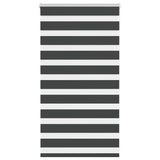 Vidaxl zebra Roller Blind 70x100 cm Šířka prachu 65,9 cm černá