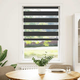 Vidaxl zebra Roller Blind 70x100 cm Šířka prachu 65,9 cm černá