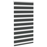 Vidaxl zebra Roller Blind 70x100 cm Šířka prachu 65,9 cm černá