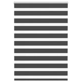 Vidaxl zebra rullo cieco 95x100 cm Larghezza tessuto 90,9 cm nero