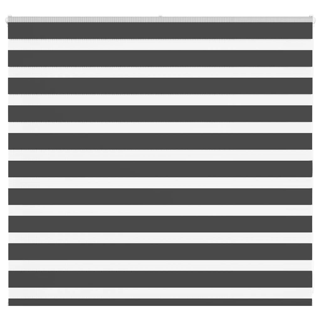 Vidaxl zebra rullo cieco 155x100 cm Larghezza tessuto 150,9 cm nero