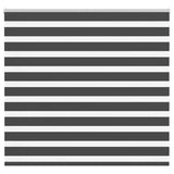 Vidaxl zebra rullo cieco 155x100 cm Larghezza tessuto 150,9 cm nero