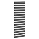 Vidaxl zebra rullo cieco 80x230 cm Larghezza tessuto 75,9 cm nero