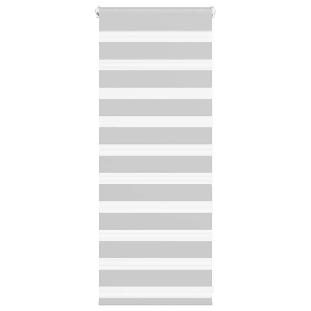 Vidaxl Zebra roller blind 60x100 cm dust width 55.9 cm light gray