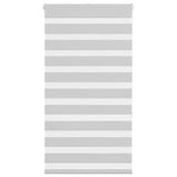 Vidaxl Zebra roller blind 70x150 cm dust width 65.9 cm light gray