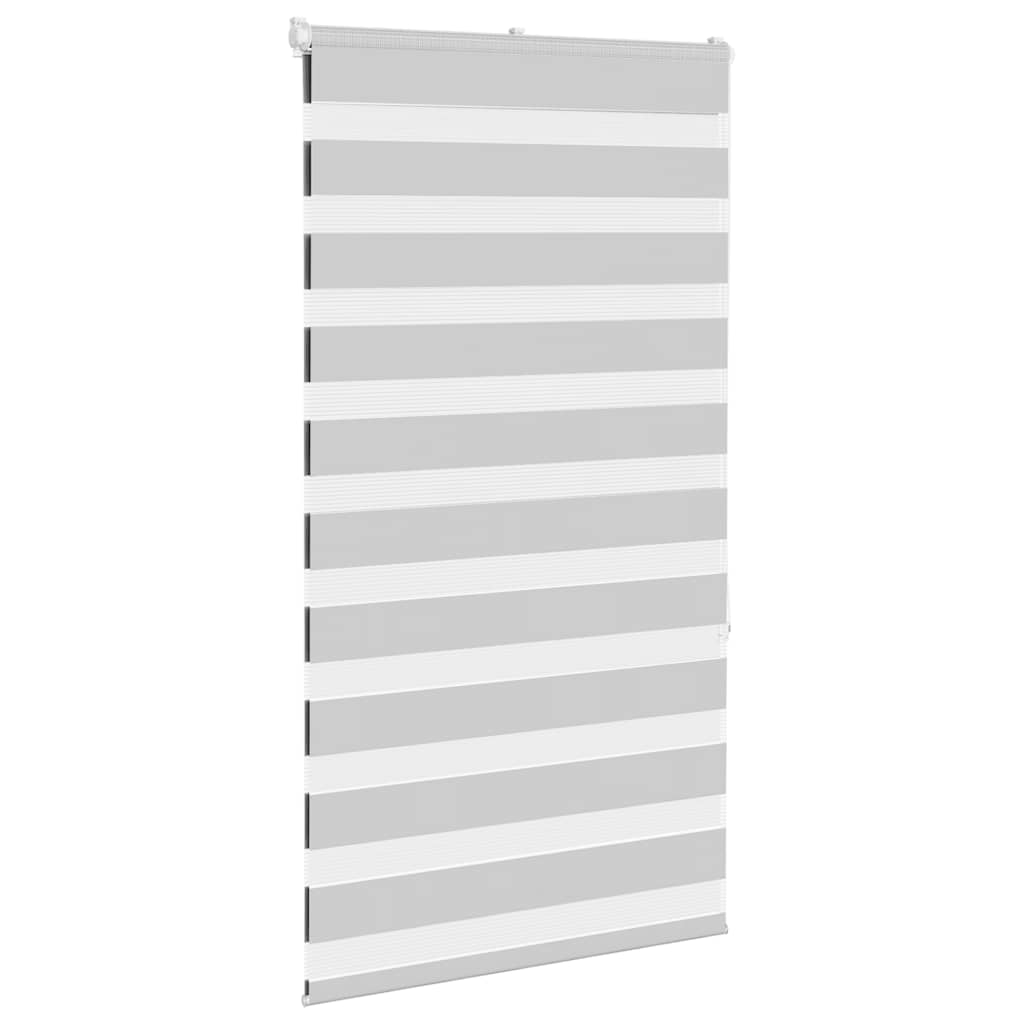Vidaxl Zebra roller blind 70x150 cm dust width 65.9 cm light gray