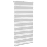 Vidaxl Zebra roller blind 70x150 cm dust width 65.9 cm light gray