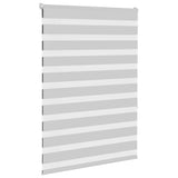 Vidaxl zebra válcový slepý 95x150 cm šířka prachu 90,9 cm světle šedá