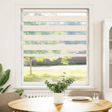 Vidaxl zebra roller slepý 100x100 cm Šířka prachu 95,9 cm Marmerbeige