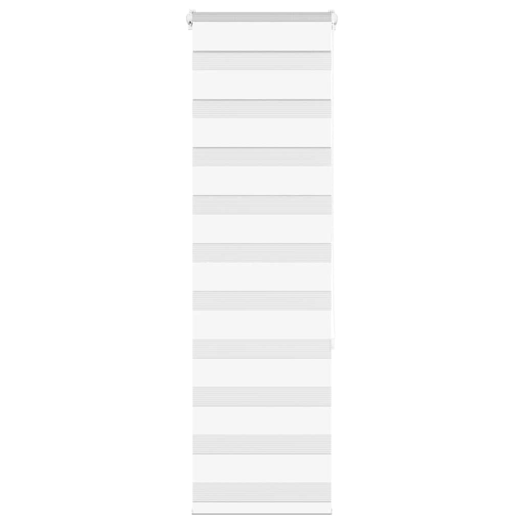 Vidaxl Zebra Roller Blind 45x150 cm Šířka prachu 40,9 cm polyester bílá