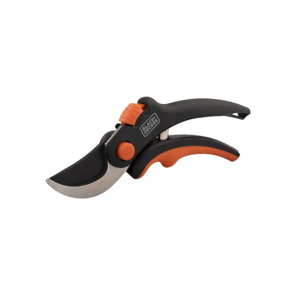 AC Pruning Schier BLK Decker