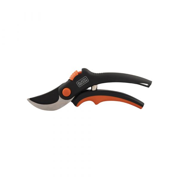 AC Pruning Schier BLK Decker