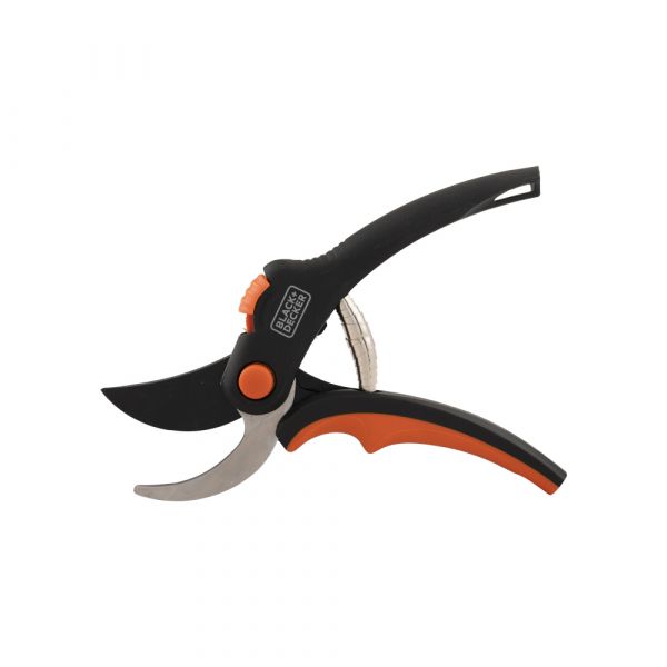 AC Pruning Schier BLK Decker