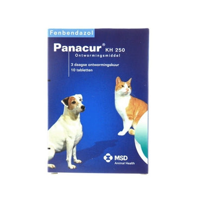 Panacur hundekat