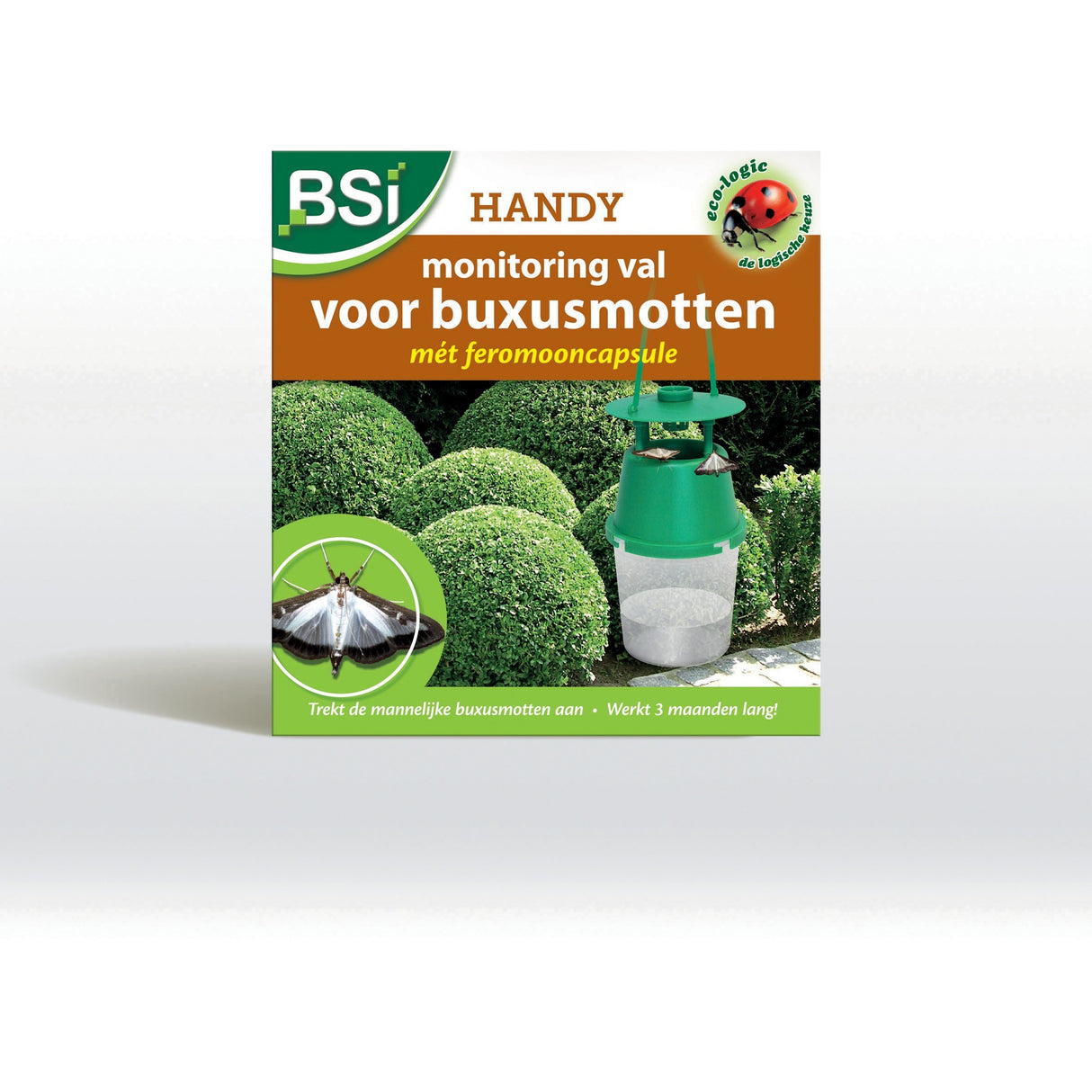 BSI Feromone trap for boxwood moth