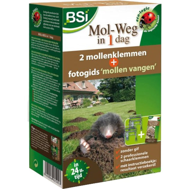 BSI mol-road in 1 day + photo guide
