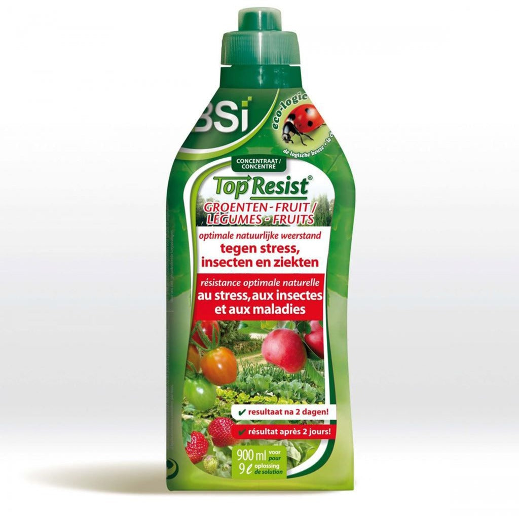 BSI -Top widerstehen Obstgemüse, 900 ml