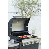 Barbecook Reusable grill pan from email