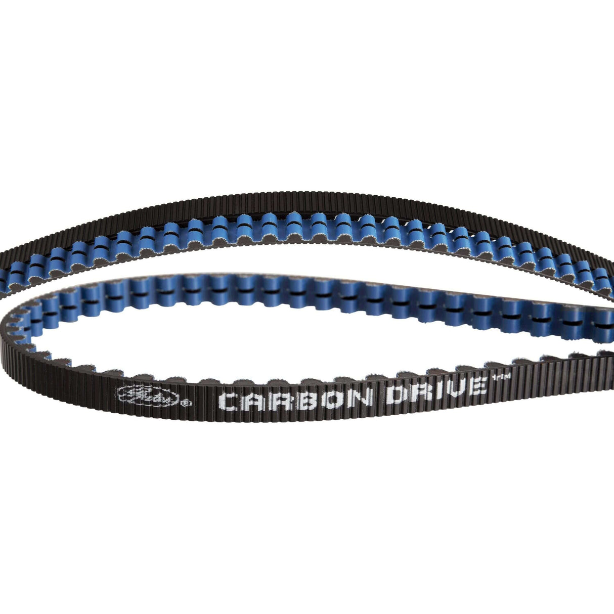 Gates cdx belt carbon drive 125 tands zwart blauw